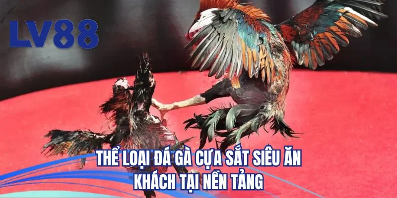 Thể loại đá gà cựa sắt siêu ăn khách tại nền tảng