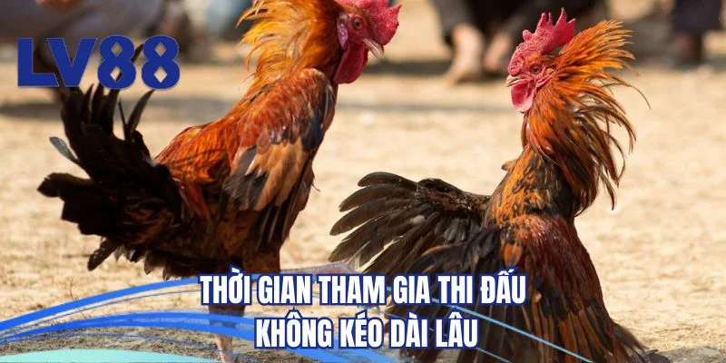 Thời gian tham gia thi đấu không kéo dài lâu